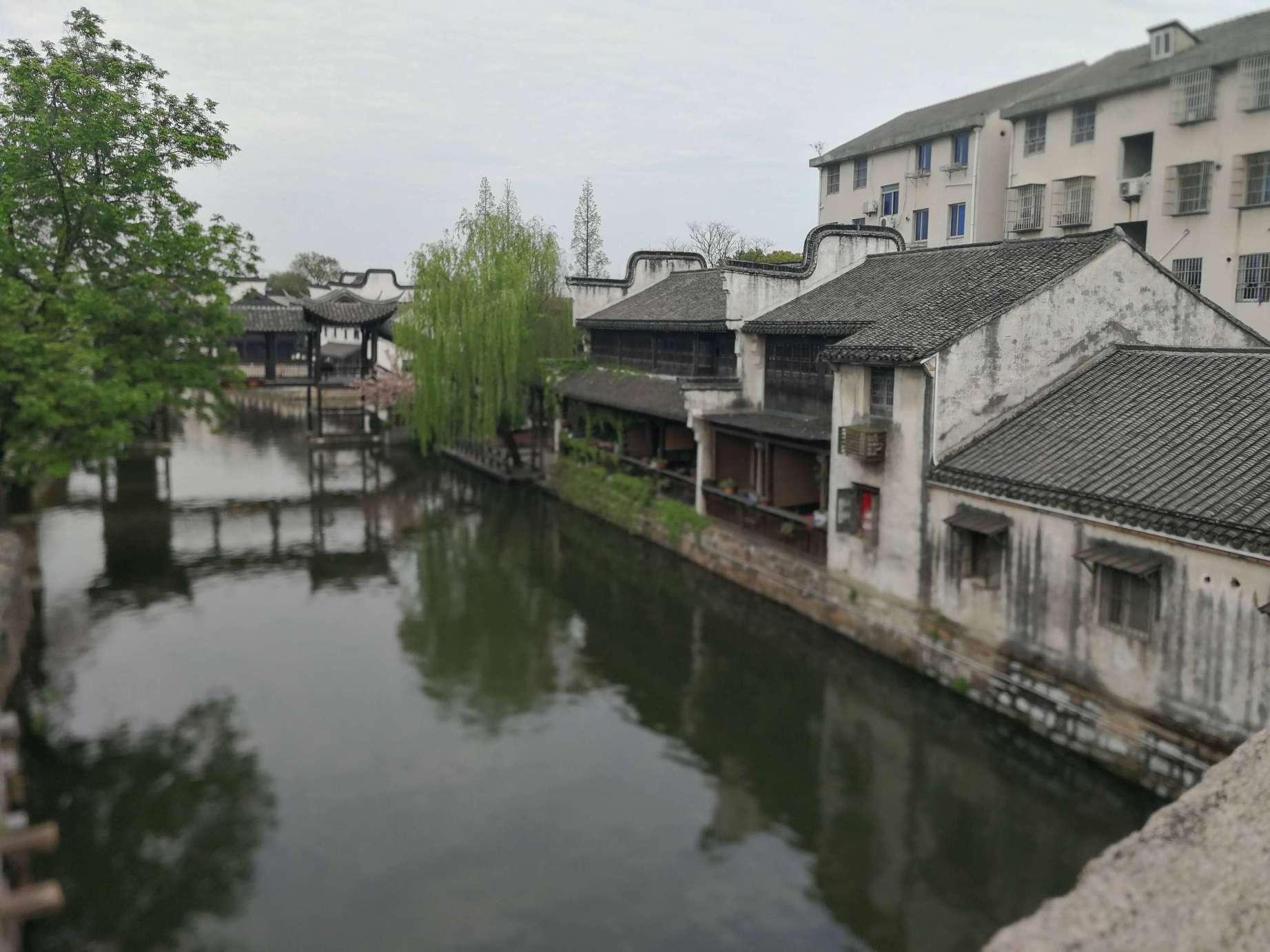 无忧国际wy6999